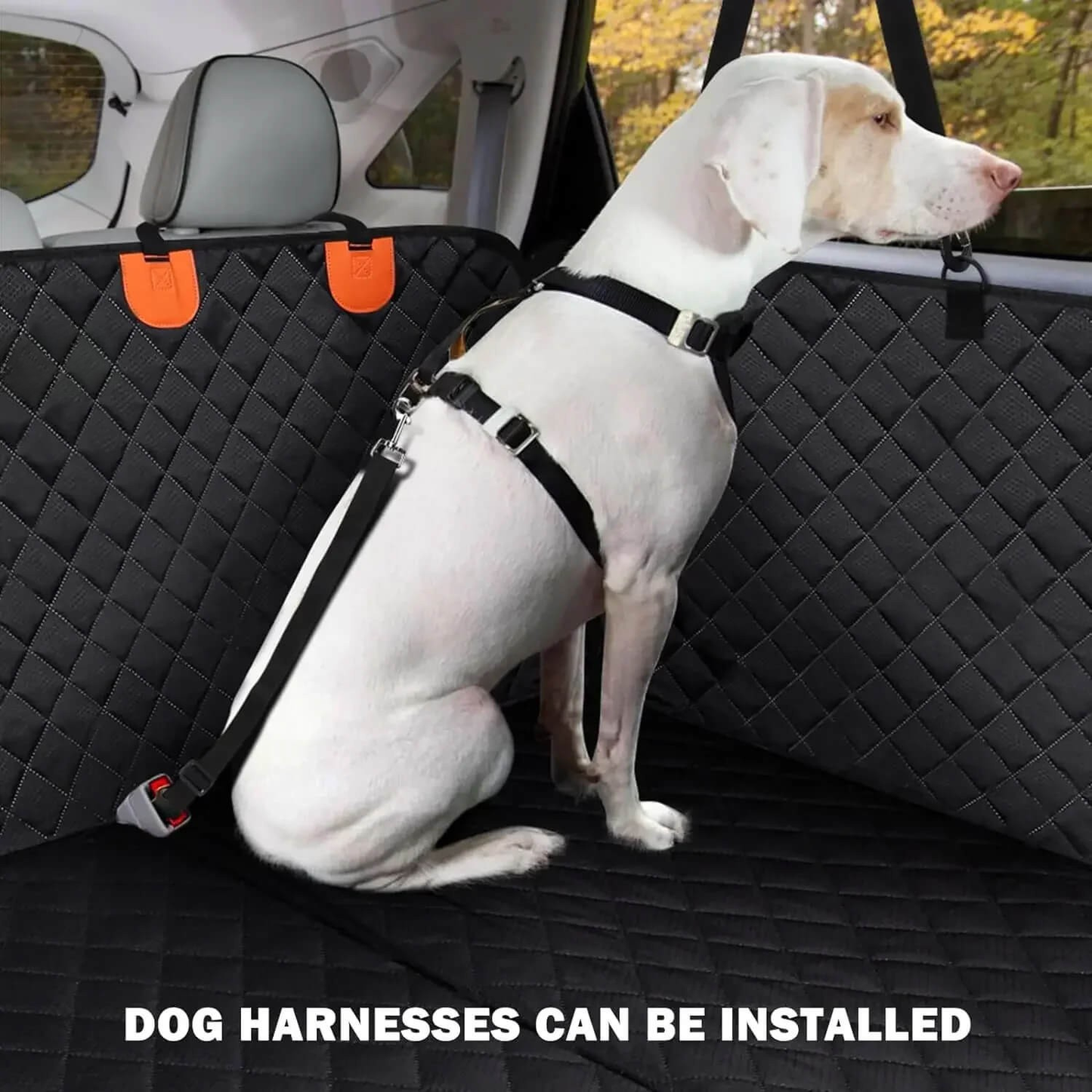 RuffBuddy™ – Hard-Bottom Car Seat Protector