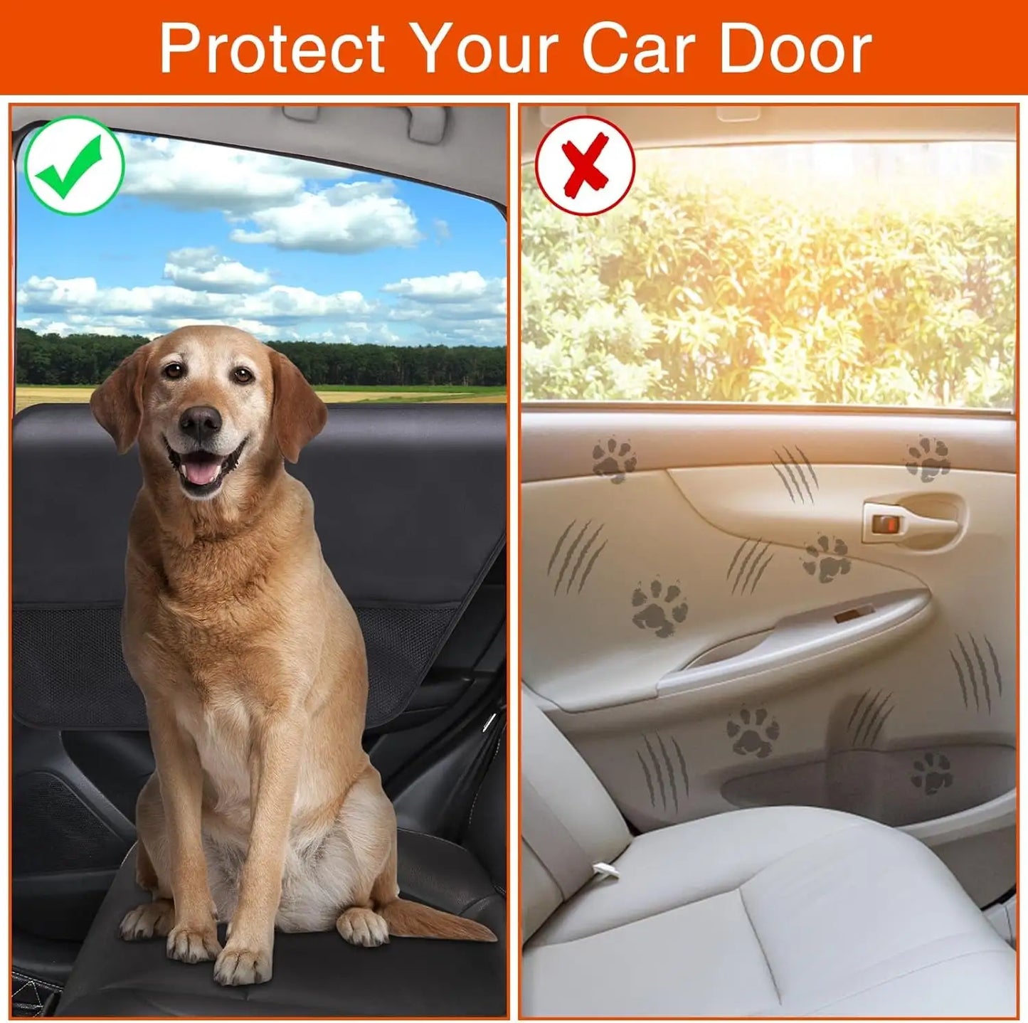 DoorGuard (Dual Pack)
