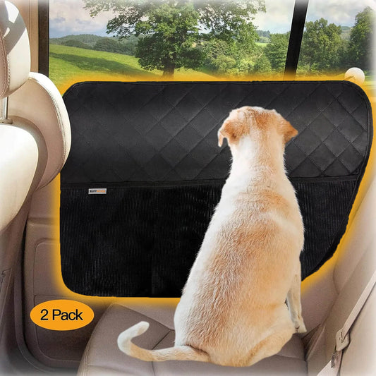 DoorGuard (Dual Pack)