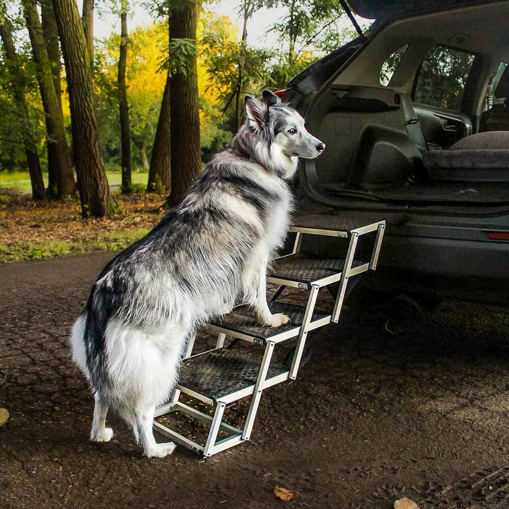 Portable Dog Stairs for The RuffBuddy